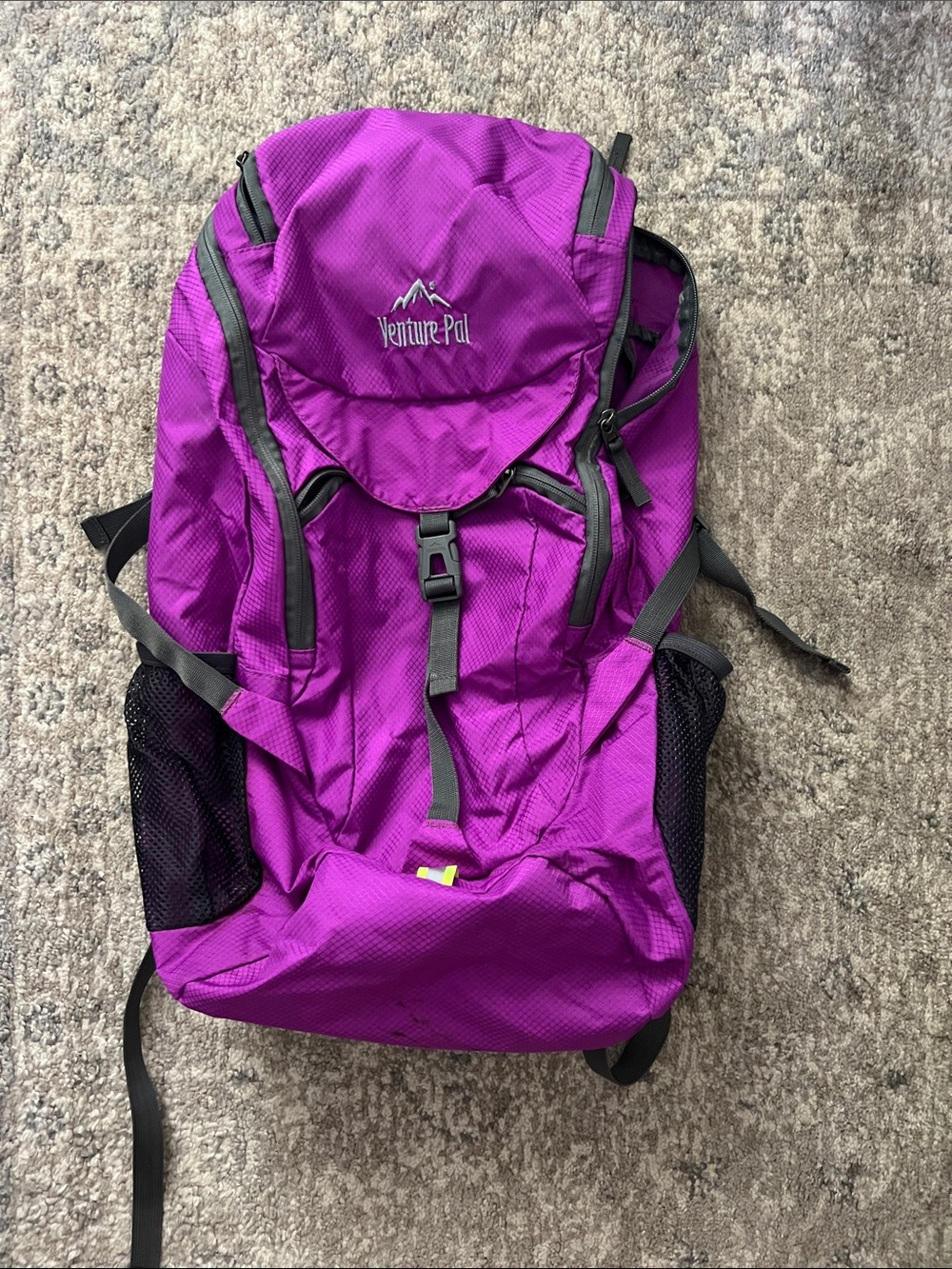 Purple Daypack Backpack